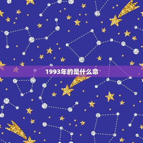 1993生肖五行